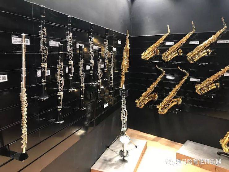 庄闲和游戏乐器 试奏乐器