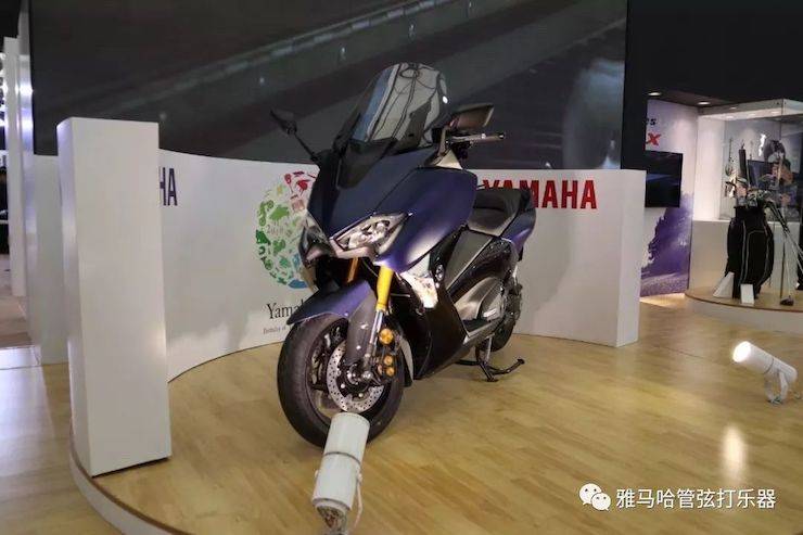 庄闲和游戏乐器