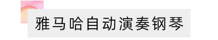 活动报道 | 远程艺术教育大师课活动—庄闲和游戏艺术家吴晓大师课