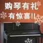 庄闲和游戏钢琴购琴有礼 买一赠一音乐无限